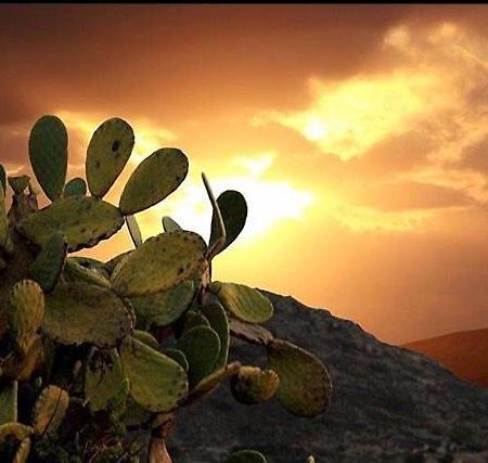Готель Prickly Pear House Plaka  Екстер'єр фото