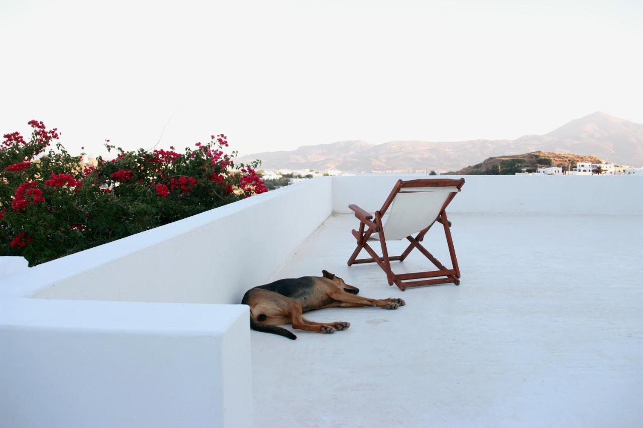 Готель Prickly Pear House Plaka  Екстер'єр фото