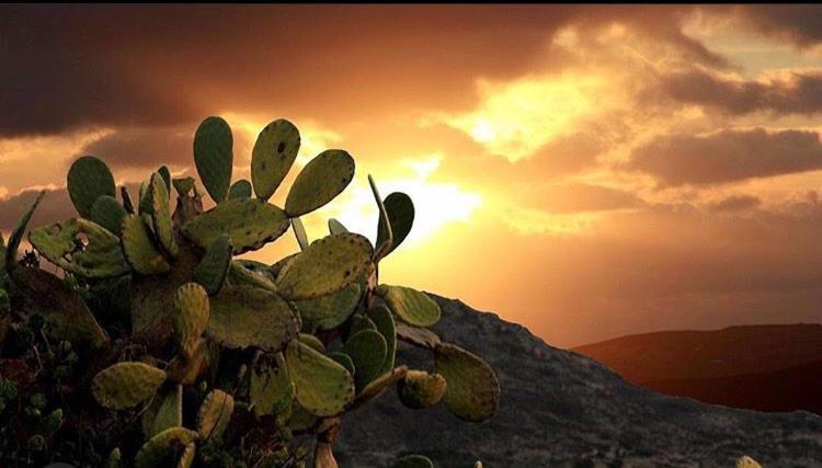 Готель Prickly Pear House Plaka  Екстер'єр фото