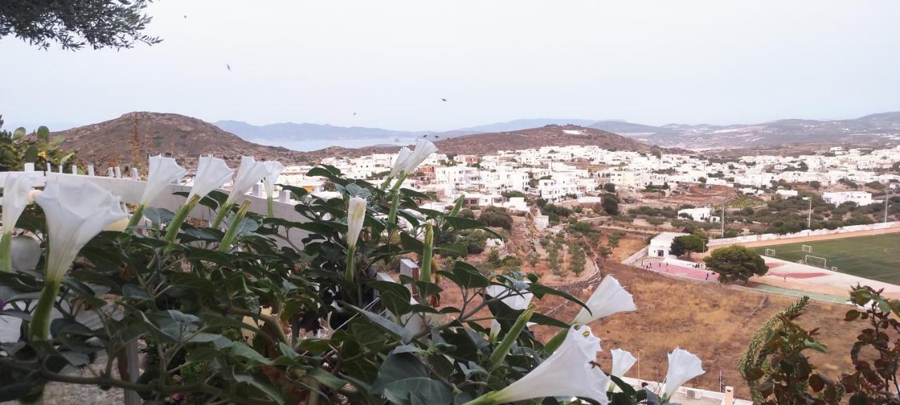 Готель Prickly Pear House Plaka  Екстер'єр фото
