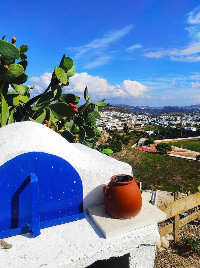 Готель Prickly Pear House Plaka  Екстер'єр фото